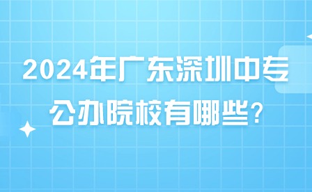 2024年广东深圳中专公办院校有哪些?