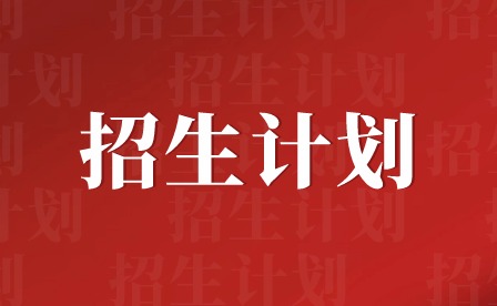 2024年深圳信息职业技术学院3+证书招生计划