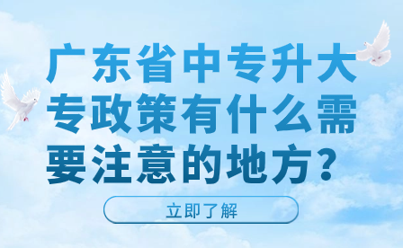 广东省中专升大专政策有什么需要注意的地方？