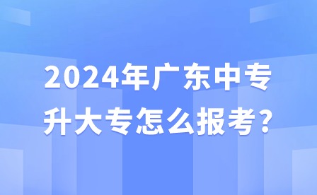 2024年广东中专升大专怎么报考?
