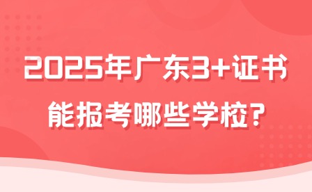 2025年广东3+证书能报考哪些学校?